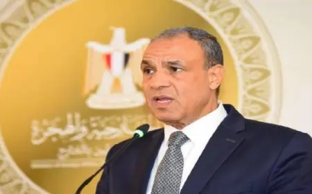 تعزيز العلاقات الثنائية بين مصر وإيرلندا من خلال مشاورات سياسية جديدة