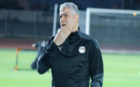 شبانة يهاجم وائل جمعة بسبب تصريحاته الغير موفقة قبل مباراة السنغال