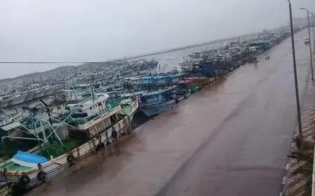 رياح شديدة تؤدي إلى إغلاق ميناء البرلس لليوم الخامس على التوالي