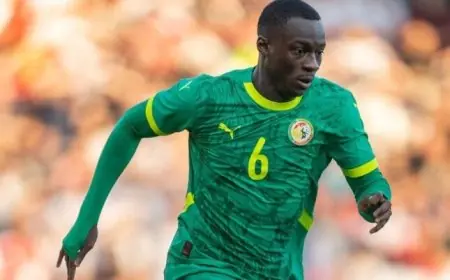 حبيب ديارا: سنبذل قصارى جهدنا لتحقيق حلم التتويج ببطولة أمم إفريقيا