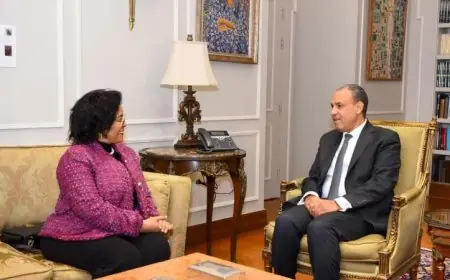 عبد العاطي يجتمع مع المديرة التنفيذية لـ”النيباد” لتعزيز الشراكة التنموية في أفريقيا