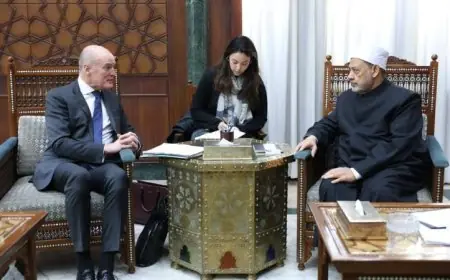 شيخ الأزهر يؤكد أن غياب القيم الأخلاقية أدى إلى هيمنة القوة على السياسة العالمية