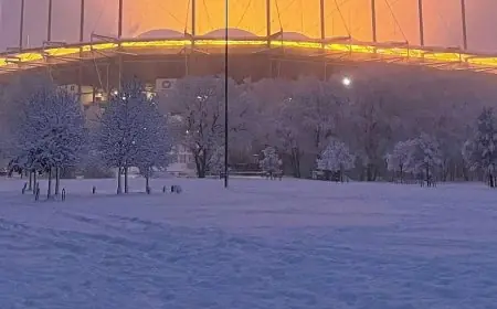 تأجيل مباراة هامبورغ ضد ليفركوزن نتيجة تساقط الثلوج الكثيف