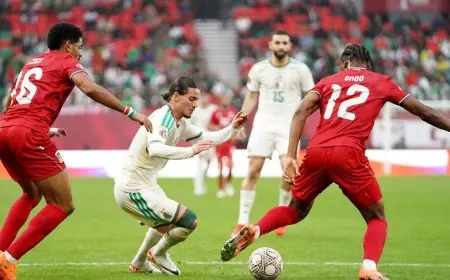 تشيليسي يضع خليفة رياض محرز ضمن اهتماماته الكروية