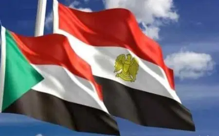 خبراء ودبلوماسيون يشيدون بمساهمة مصر الفعالة في تعزيز استقرار السودان