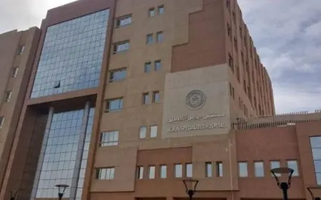 السبكي: مستشفى حورس التخصصي تُقدم 2 مليون خدمة طبية وعلاجية متكاملة