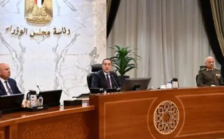 مجلس الوزراء يوافق على قرار هام لتنظيم إدارة أملاك الدولة