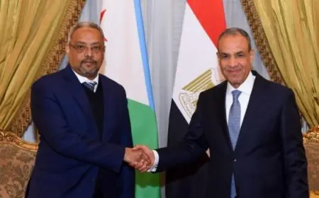 وزير الخارجية يناقش مع نظيره الجيبوتي آخر مستجدات الأوضاع في القرن الأفريقي