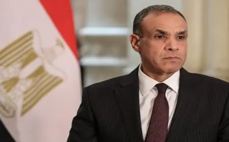 وزير الخارجية يؤكد التزام مصر بعدم السماح بانهيار السودان أو تفكيك مؤسساته أو فقدان أي جزء من أراضيه