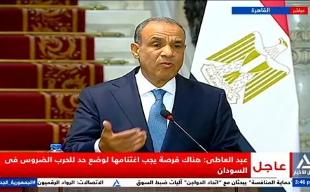 عبد العاطى يكشف عن اقتراب إعلان أعضاء لجنة التكنوقراط الفلسطينية لإدارة غزة