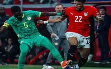 منتخب السنغال يحقق إنجازًا كبيرًا ويؤهل نفسه إلى نهائي كأس أمم إفريقيا بفوزه على مصر بهدف وحيد