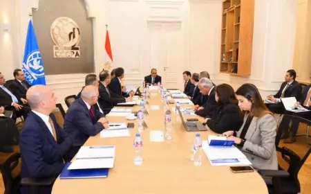 وزير الخارجية يثني على الإنجازات المتميزة لمركز القاهرة الدولي لحل النزاعات