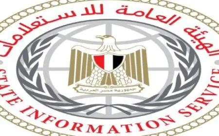 هيئة الاستعلامات تكشف عن مشاركة 96 مؤسسة إعلامية أجنبية في أول لقاء مع وزير الخارجية