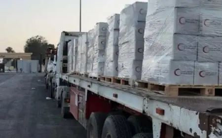 قافلة زاد العزة 117 تصل إلى الفلسطينيين في قطاع غزة لتعزيز الدعم الإنساني