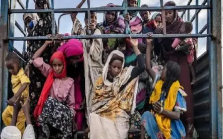 الأمم المتحدة تحذر من كارثة إنسانية في السودان مع تفاقم النزاع والمجاعة للأسر المهددة