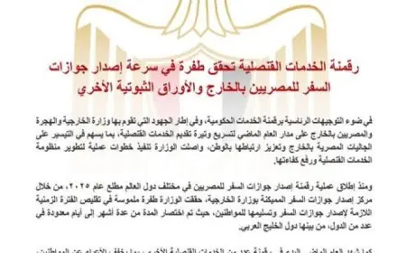 رقمنة الخدمات القنصلية تحدث ثورة في سرعة إصدار جوازات السفر للمصريين المقيمين بالخارج