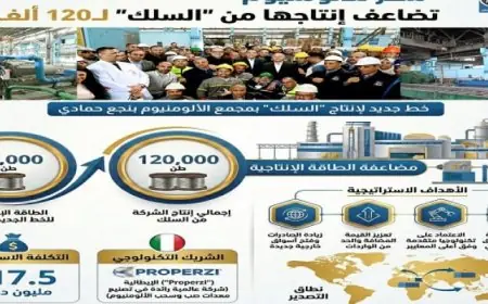 وزارة قطاع الأعمال تكشف بالإنفوجراف عن تضاعف إنتاج مصر للألمنيوم إلى 120 ألف طن من السلك