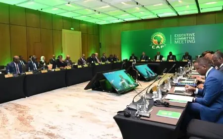 إيرادات كأس أمم إفريقيا تسجل ارتفاعًا مذهلاً بنسبة 90%