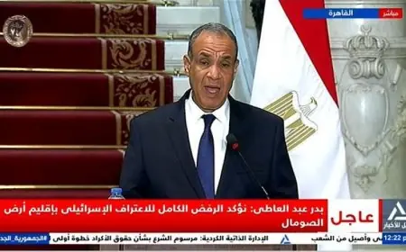 مؤتمر صحفي مباشر بين وزيري خارجية مصر والبوسنة والهرسك بث حي الآن