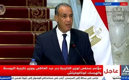 وزير الخارجية يؤكد التزام مصر بتعزيز العلاقات الثنائية مع البوسنة