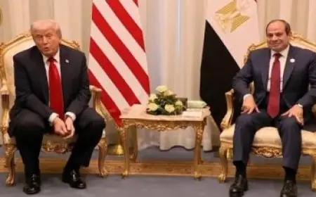 وزير الخارجية يناقش آخر المستجدات الإقليمية مع نظيره البوسني