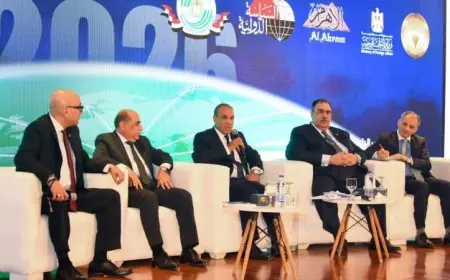 وزير الخارجية يتحدث في ندوة حول إنجازات السياسة الخارجية المصرية لعام 2025