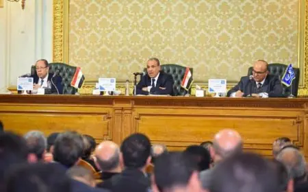 وزير الخارجية يكشف تطورات الدبلوماسية المصرية وتأثيرها على الساحة الدولية