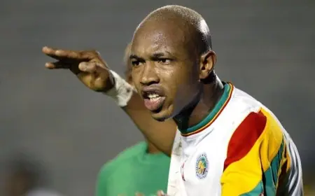 ضيوف يؤكدون حسمهم للقب الإفريقي والسنغال تُظهر شجاعتها أمام جماهير المغرب