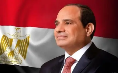 الرئيس السيسي يرصد نجاح تعافي حركة الملاحة في قناة السويس وعودة السفن العملاقة