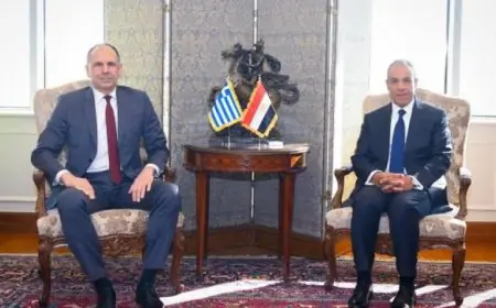 عبد العاطي يشدد على ضرورة تعزيز قوة الاستقرار لمراقبة وقف إطلاق النار في غزة