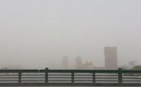 الأرصاد الجوية تكشف عن طقس دافئ نهاراً وبارد ليلاً في القاهرة مع انخفاض الحرارة إلى 10 درجات