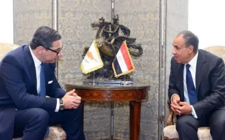 عبدالعاطي يؤكد أهمية تعزيز التعاون في مجال الطاقة مع قبرص وسط التحديات في الشرق الأوسط