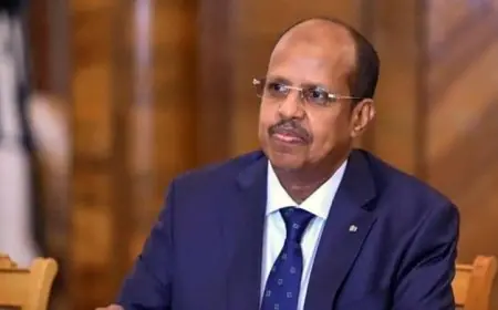 رئيس مفوضية الاتحاد الإفريقي يشارك في مراسم تنصيب رئيس غينيا الجديد