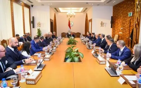 وزير الخارجية يعبر عن فخره بالعلاقات القوية بين مصر وكندا