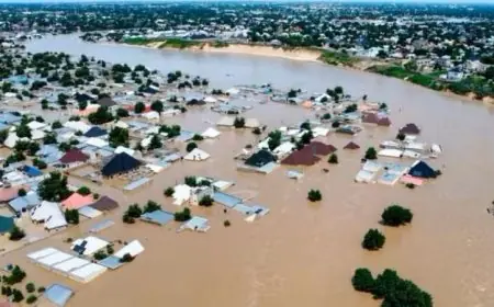 جنوب أفريقيا تعلن حالة الطوارئ الوطنية بسبب فيضانات تاريخية وأضرار كبيرة