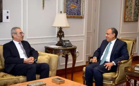 وزير الخارجية يكشف عن دعم مصر الشامل للجنة الوطنية لإدارة غزة