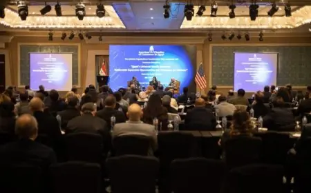 التأمين الصحي تستكشف آفاق الشراكة مع غرفة التجارة الأمريكية لتوسيع التعاون مع القطاع الخاص