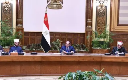 الرئيس السيسي يؤكد أهمية رؤية الدولة المصرية في مواجهة التطرف من خلال تجديد الخطاب الديني