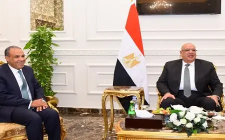 تنطلق الاستعدادات للبطولة الأفريقية للمصارعة في الإسكندرية مع إدخال أبسطة دولية جديدة