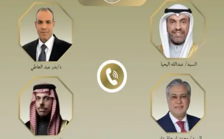وزير الخارجية يجري اتصالات هاتفية مع نظرائه في السعودية والكويت وباكستان لمناقشة التطورات الإقليمية الهامة