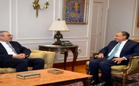 وزير الخارجية يؤكد دعم مصر القوى للجنة الوطنية المسؤولة عن إدارة غزة