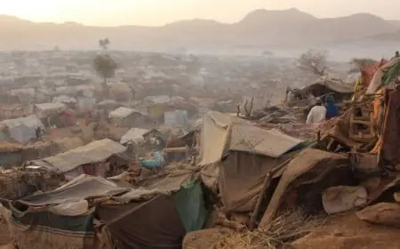 الجنائية الدولية تؤكد ارتكاب جرائم حرب وجرائم ضد الإنسانية في دارفور