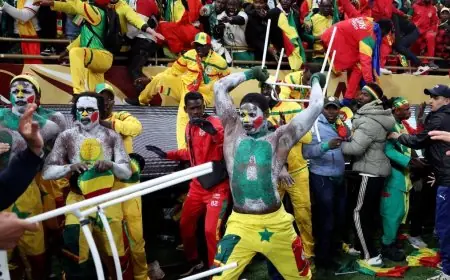 المغرب ينفي شائعات وفاة حارس أمن خلال نهائي كأس أمم إفريقيا