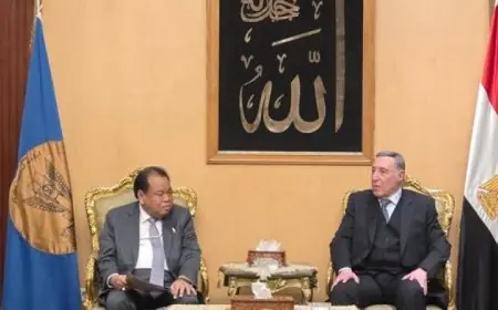 رئيس المحكمة الدستورية يناقش مع نظيره الإندونيسي أبرز تحديات القضاء العالمي