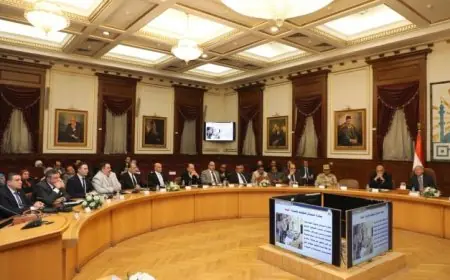 محافظ القاهرة يستعرض فرص التعاون مع الأعضاء الجدد في مجلس النواب