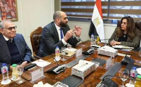 وزيرة التنمية المحلية تعلن عن تحسينات جديدة لتسهيل إجراءات تراخيص المحلات العامة للمواطنين