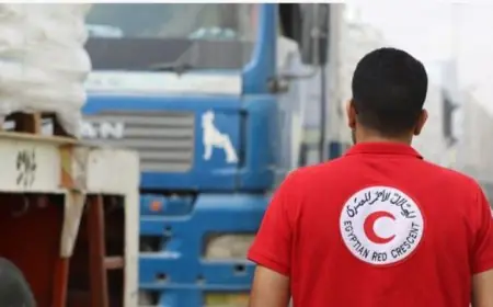 قافلة زاد العزة 121 تصل غزة لتوفير الدعم الإنساني للفلسطينيين