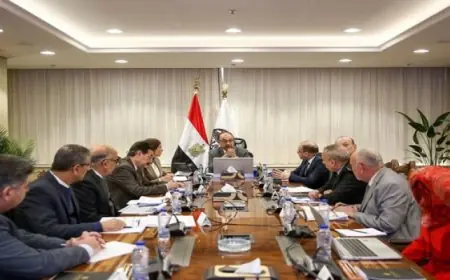 المهندس محمد شيمي يشيد بدور شركات قطاع الأعمال العام في تعزيز مبادرة حياة كريمة للمشروعات القومية