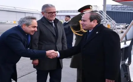 الرئيس السيسي يصل زيورخ للمشاركة في المنتدى الاقتصادي العالمي الدولي