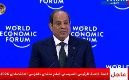 الرئيس السيسي يؤكد أن مصر هي الحل الأمثل لتحقيق السلام والاستقرار والتنمية